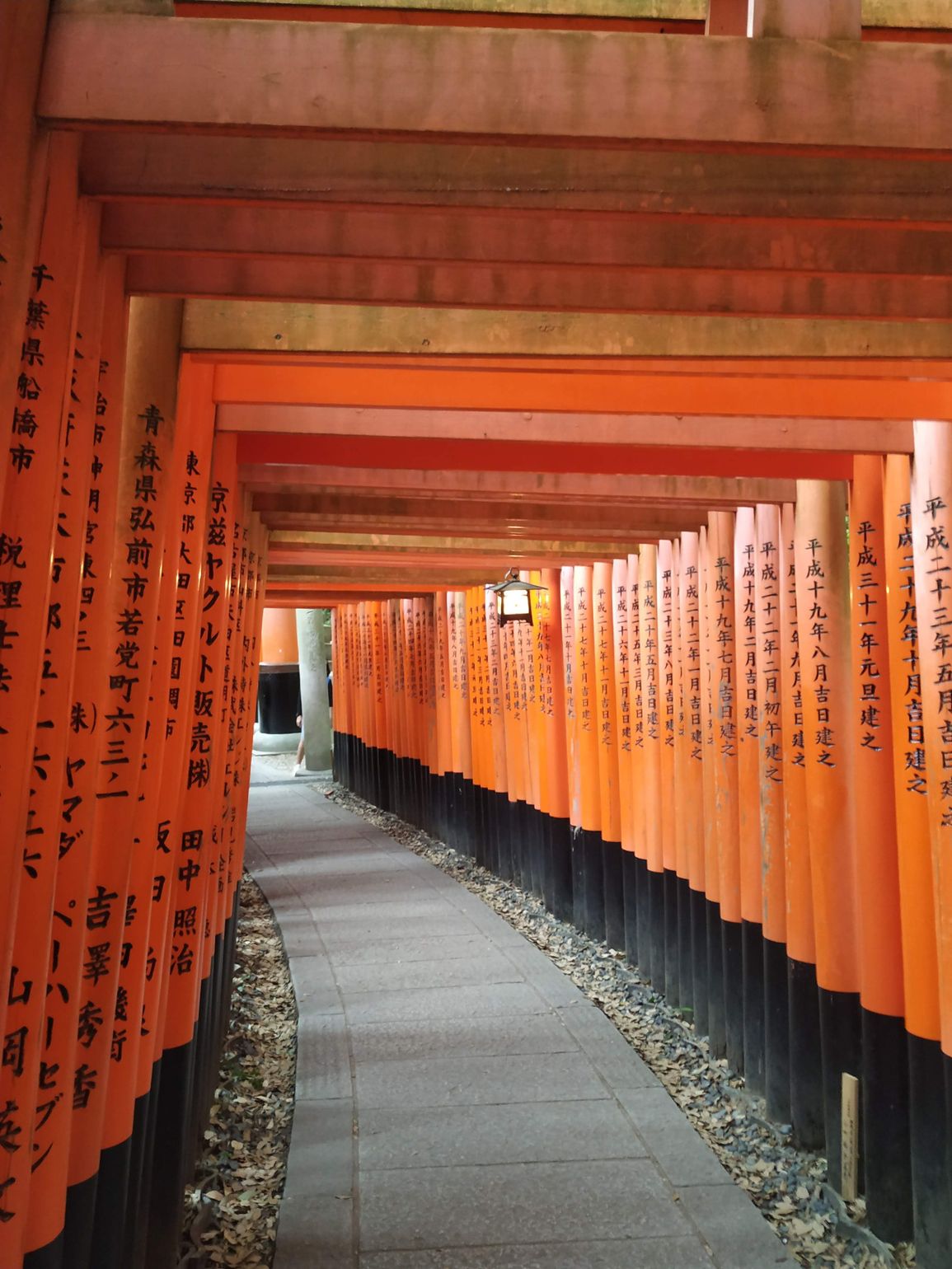 Torii-poortjes aan het tempelcomplex Fushimi Inari-taisha in Kyoto Japan