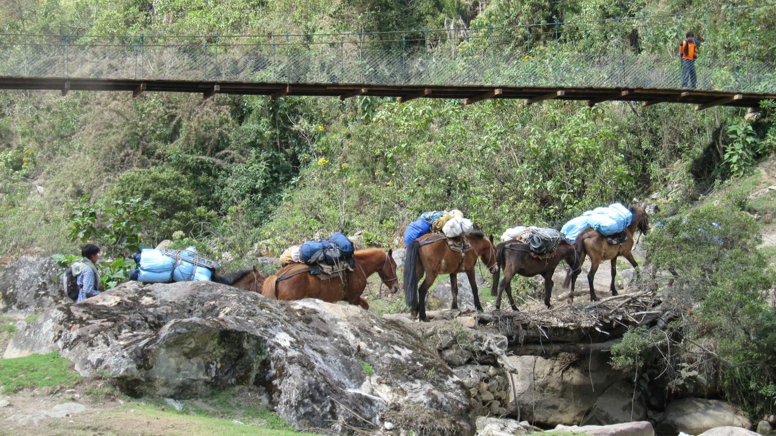 Ezels dragen bagage op Salkantay trekking