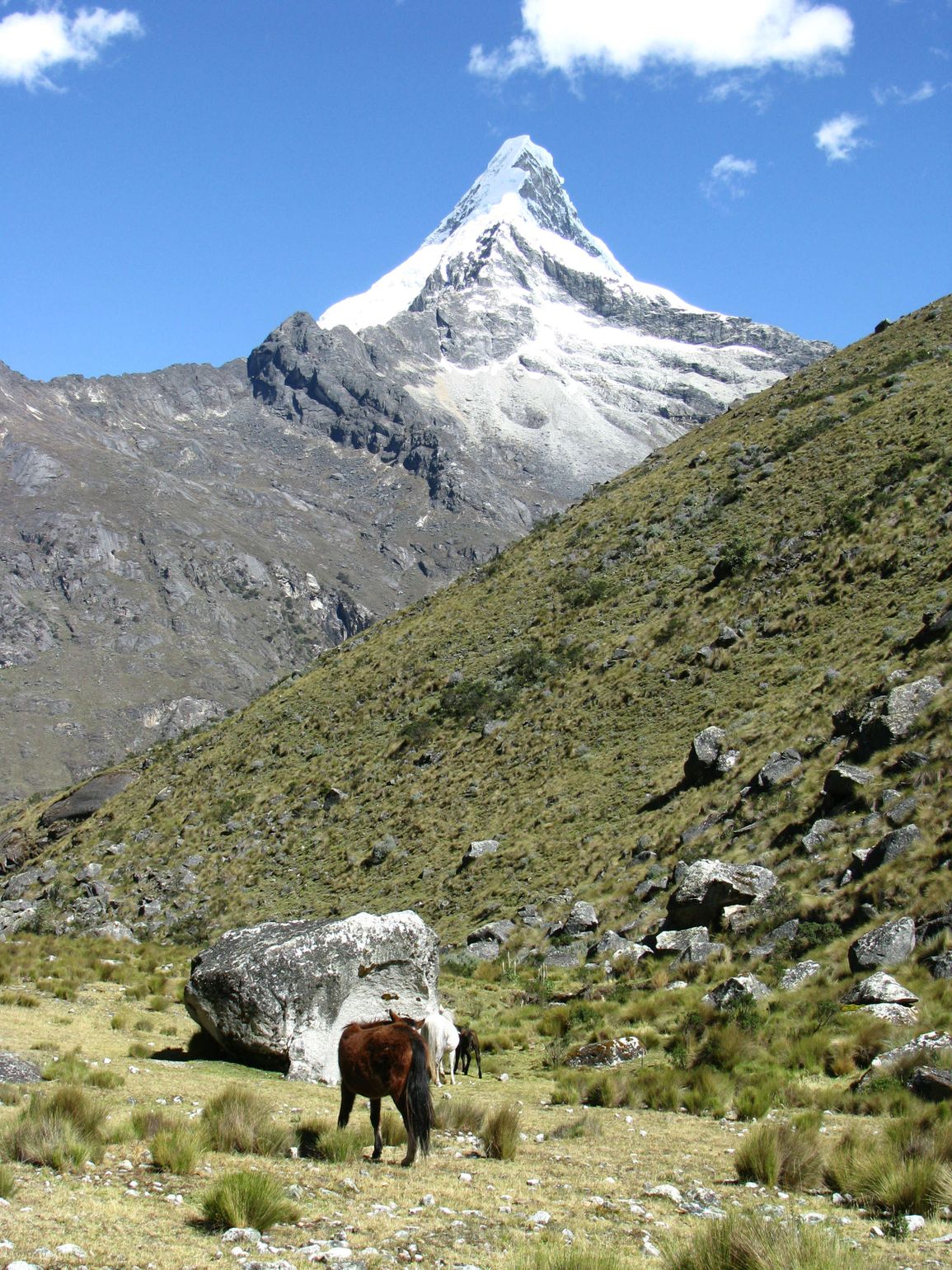 Santa Cruz trekking Cordillera Blanca