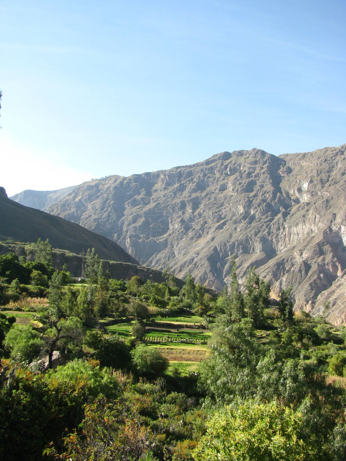 Colca Canyon Peru