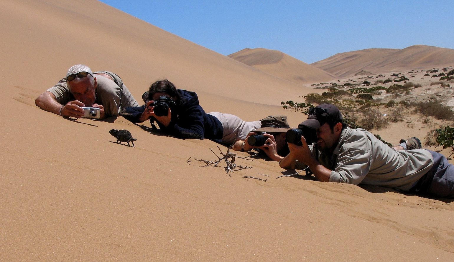 Dieren spotten in Namibië