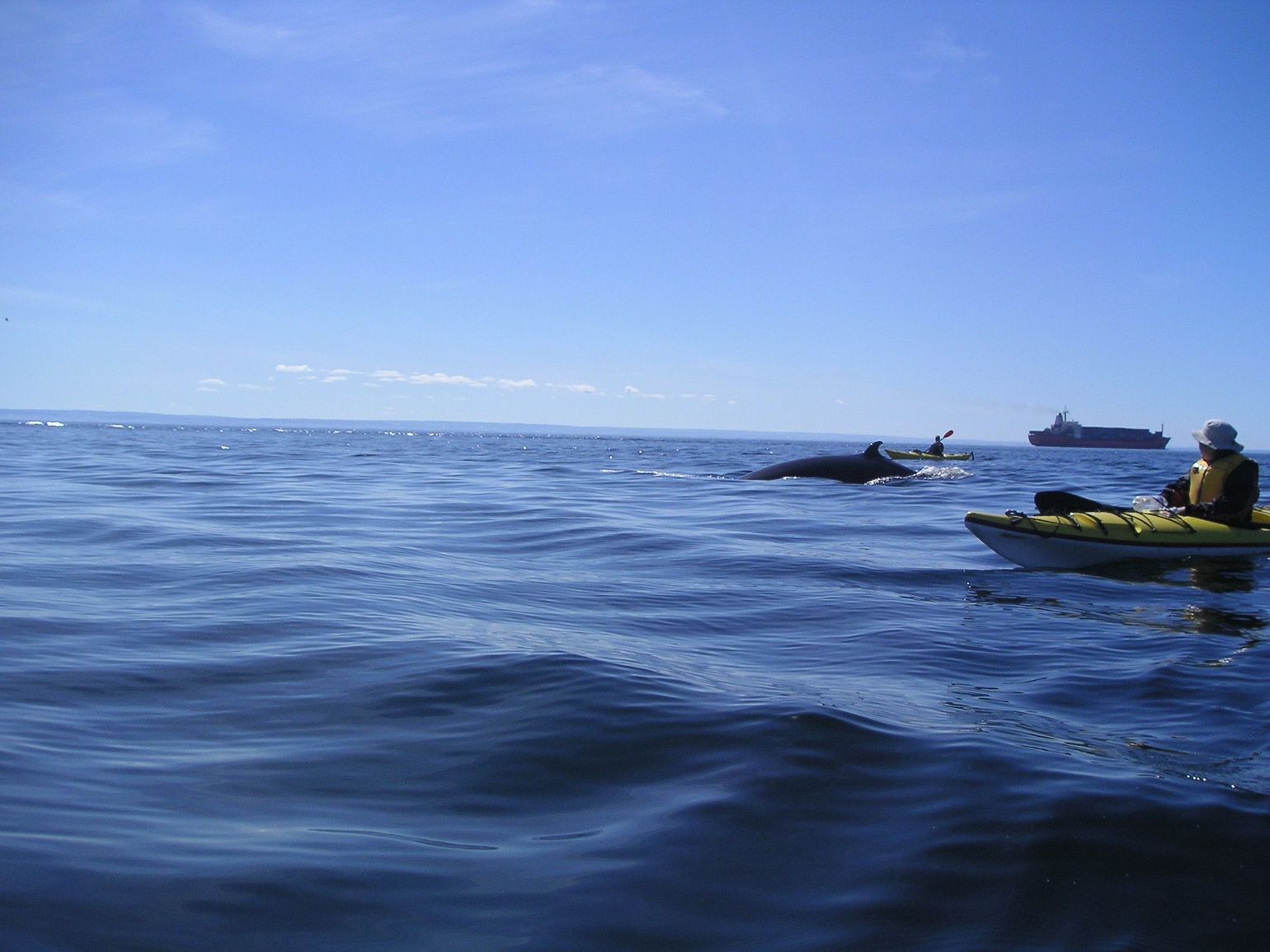 kajaktocht tadoussac