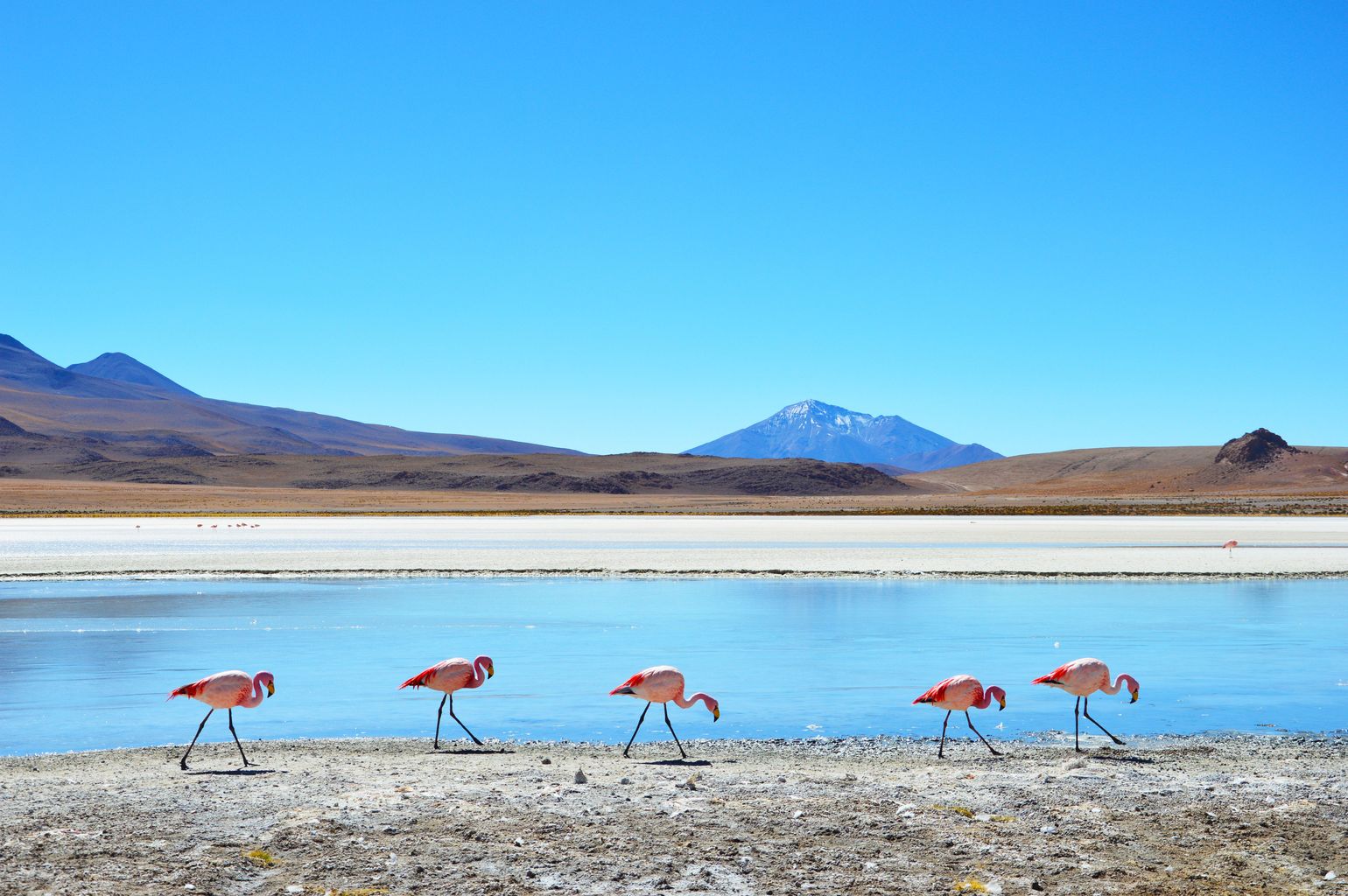 Bolivia