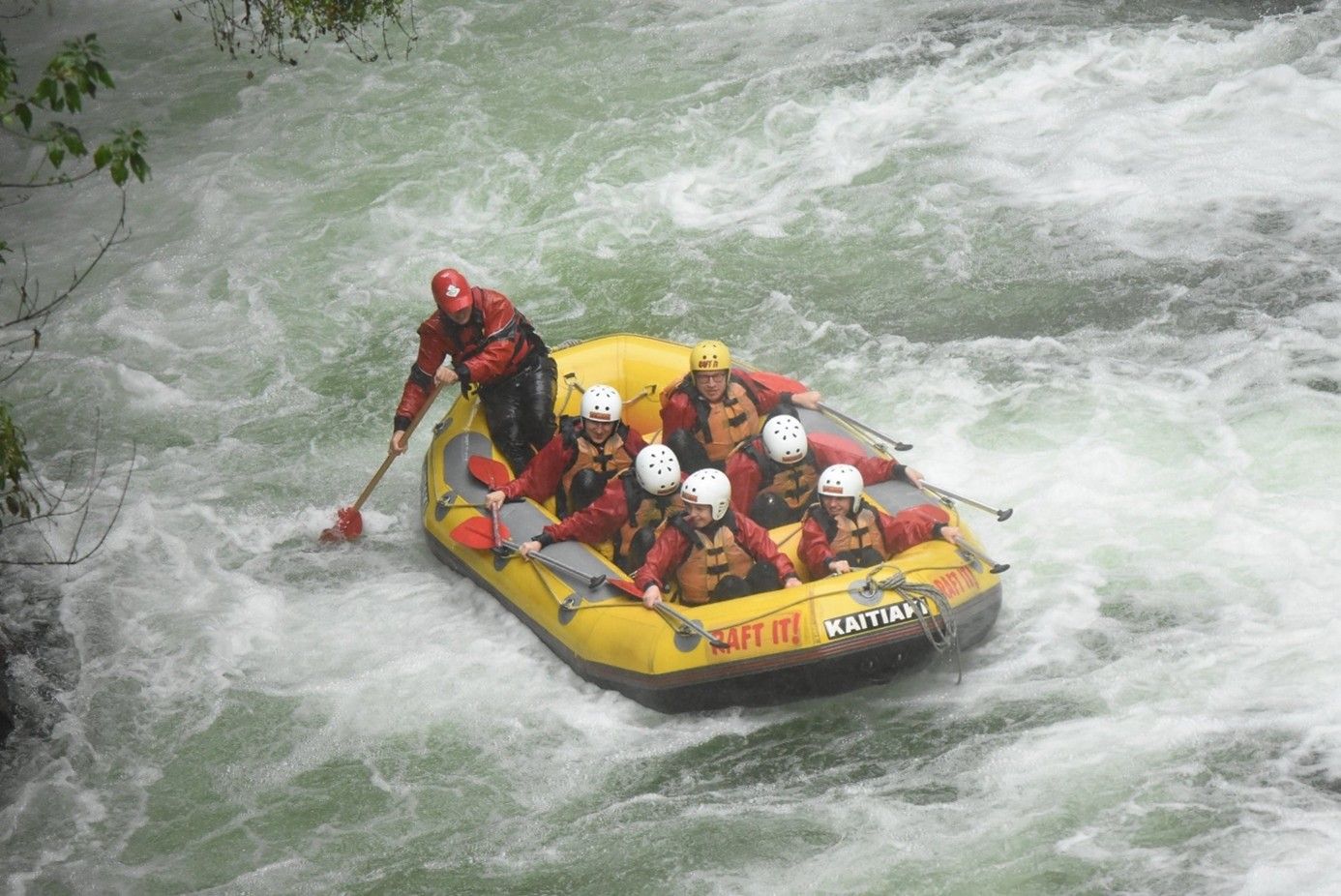 Redwoods Forest Rafting