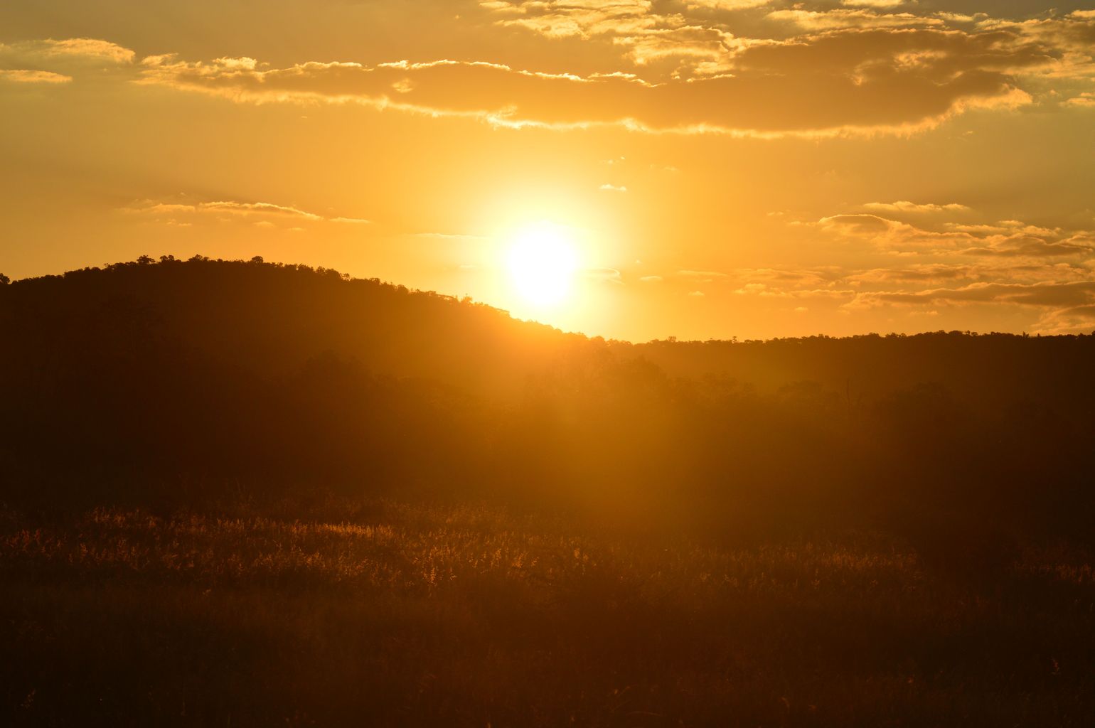 reis Zuid-Afrika safari zonsondergang