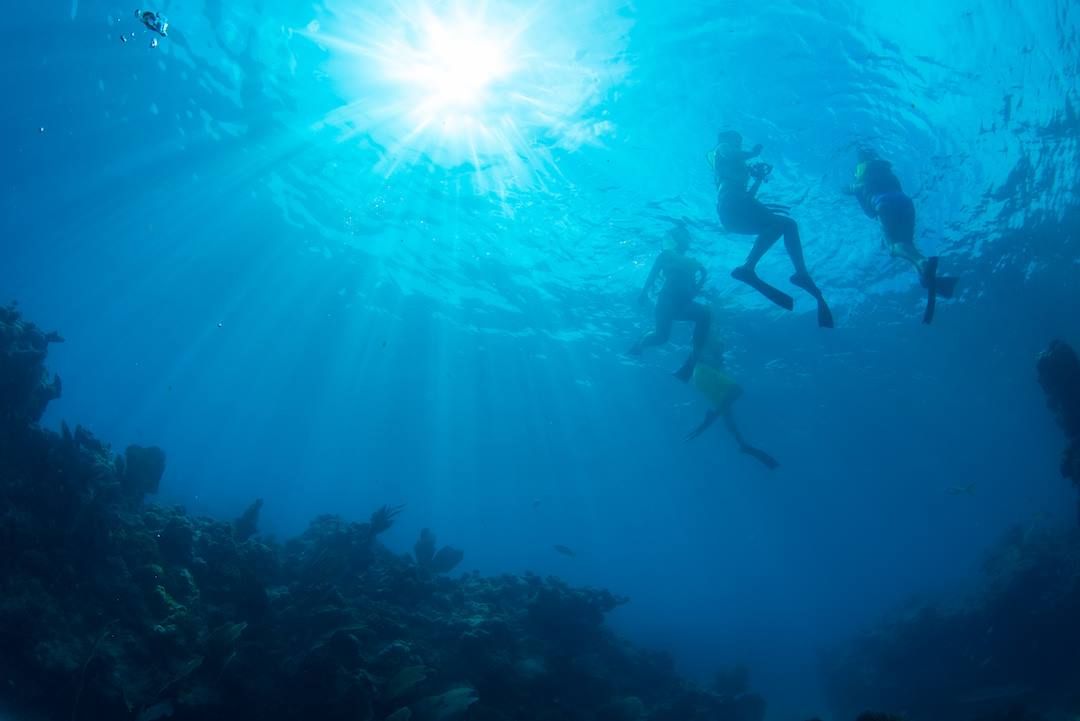 snorkelen key west florida usa