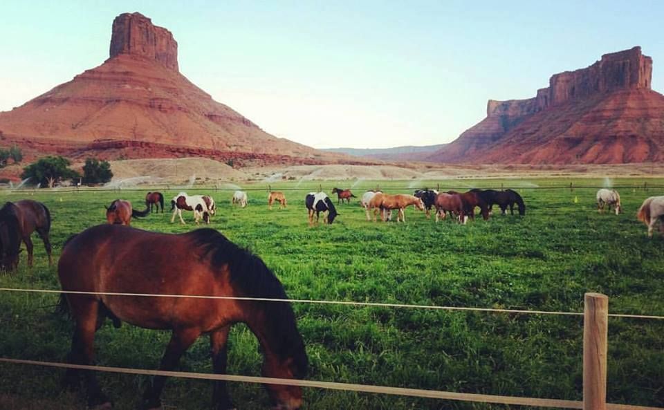 Ranch Resort nabij Arches & Canyonlands