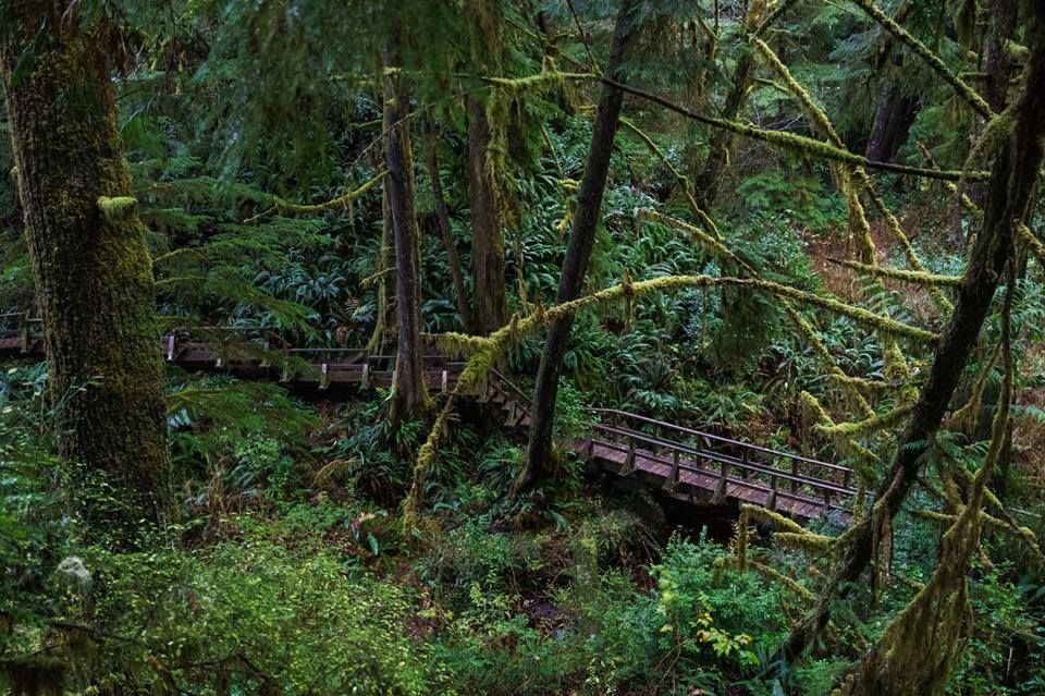 Vancouver Island, Canada