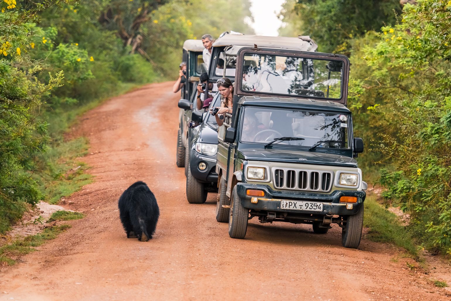 Yala National Park Jeepsafari