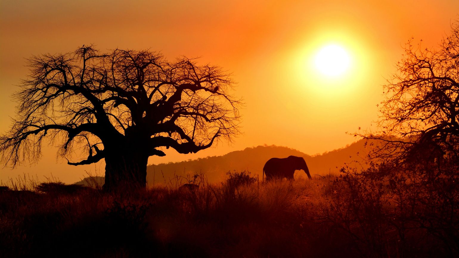 Tanzania, safari, jongerenreis, groepsreis Go-26