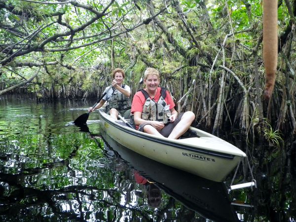 Everglades