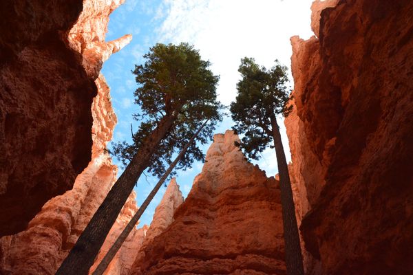 Bryce Canyon