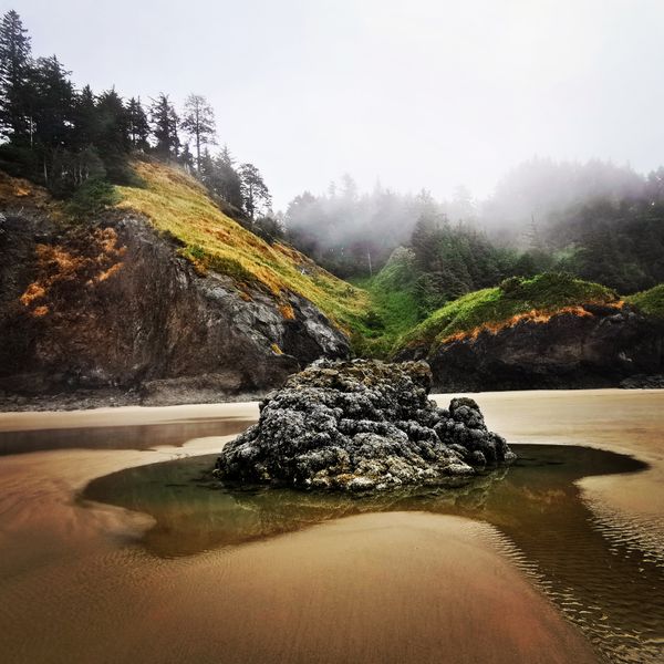 Ecola State Park