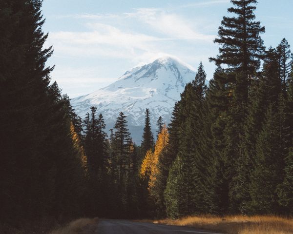 Mt Hood