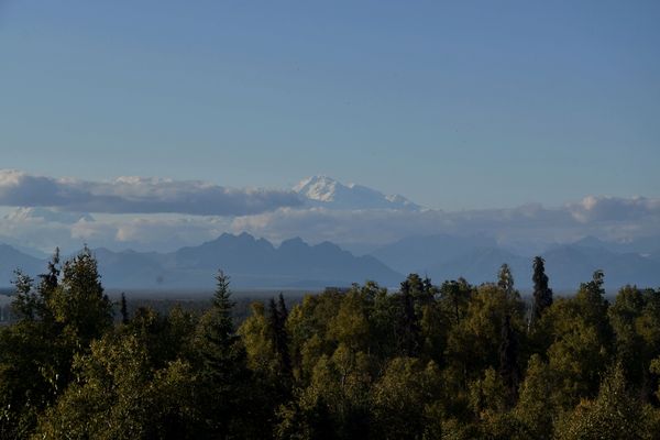 Mt. Denali