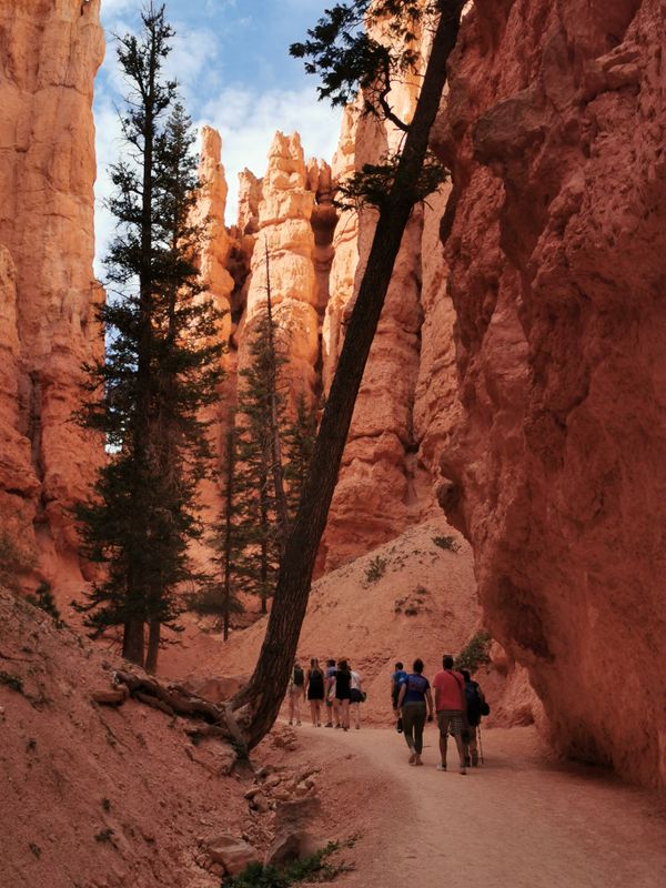 Bryce Canyon