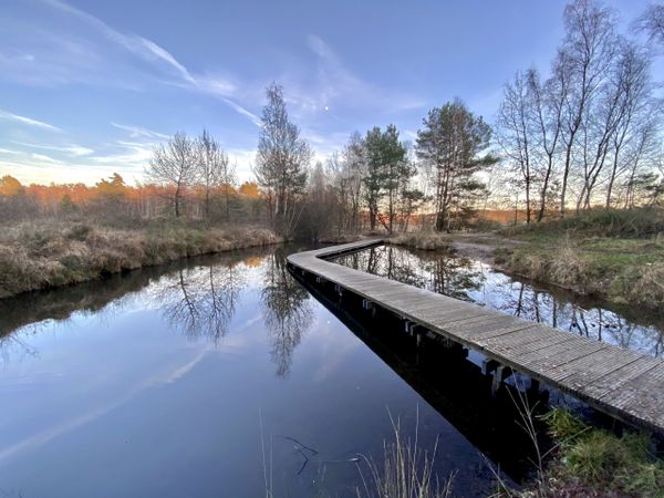 Nationaal Park Hoge Kempen