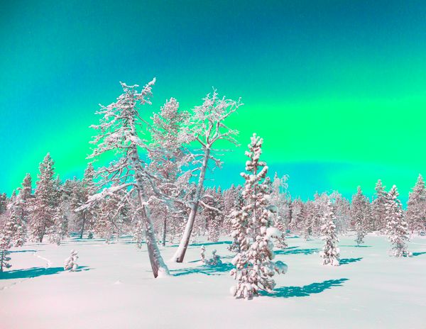 © Harriniva