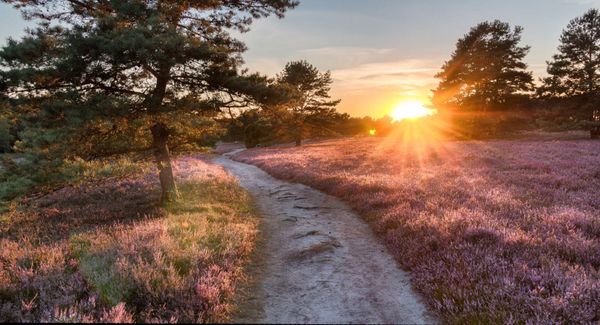 Nationaal Park Hoge Kempen