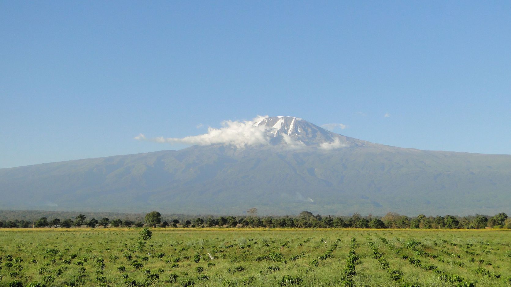 Kilimanjaro Panorama