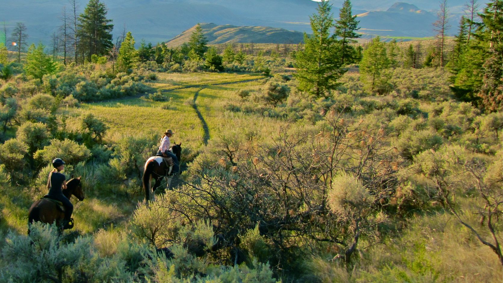 Paardrijden op de Sundance Guest Ranch in British Columbia