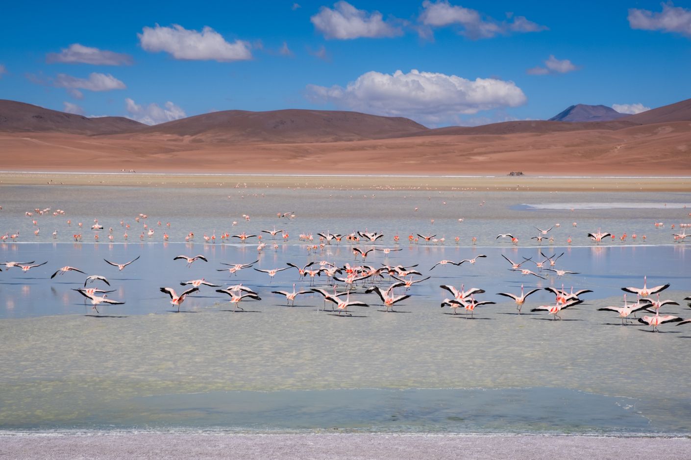 Individuele rondreis Bolivia