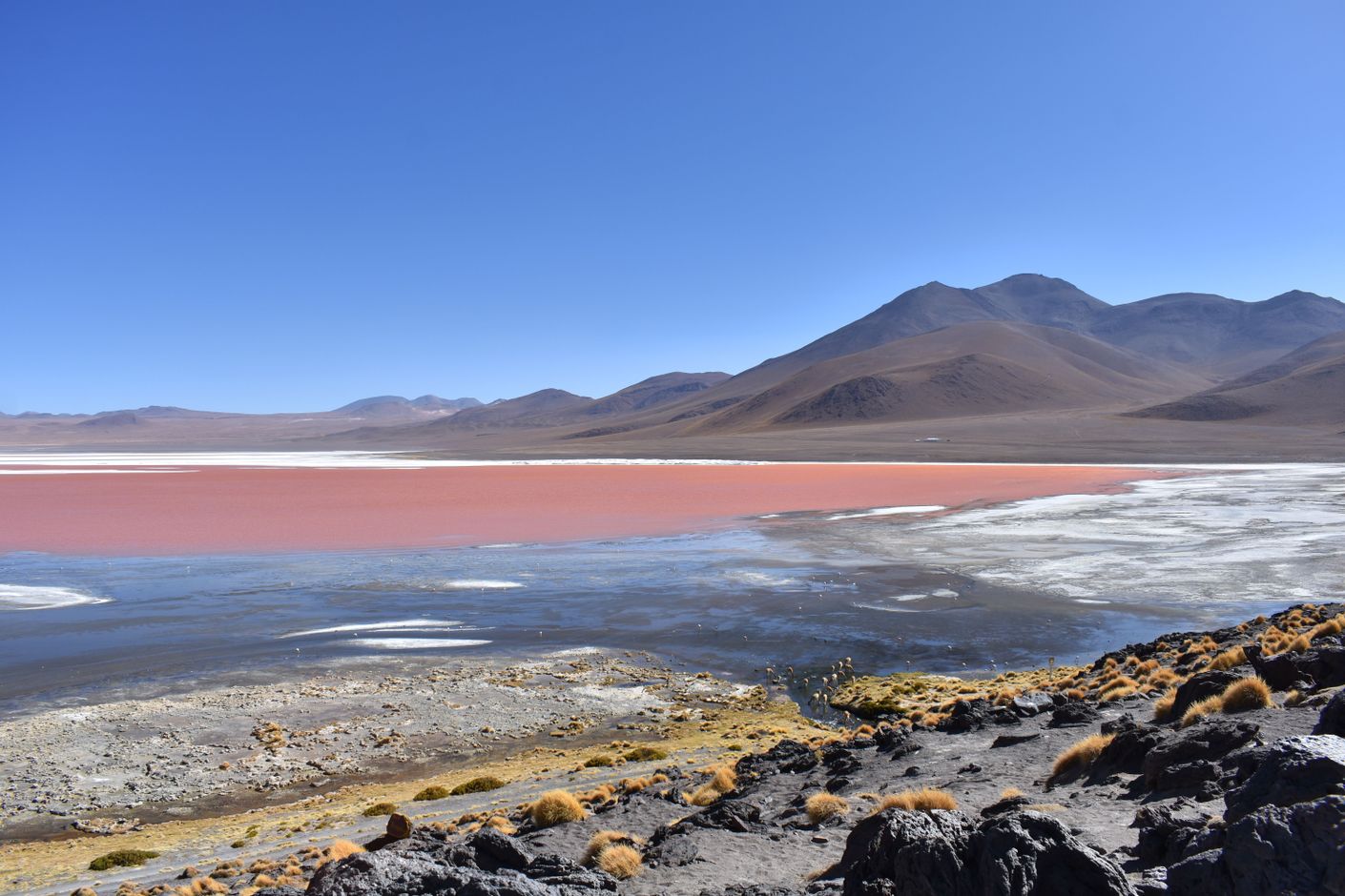 beste reistijd bolivia