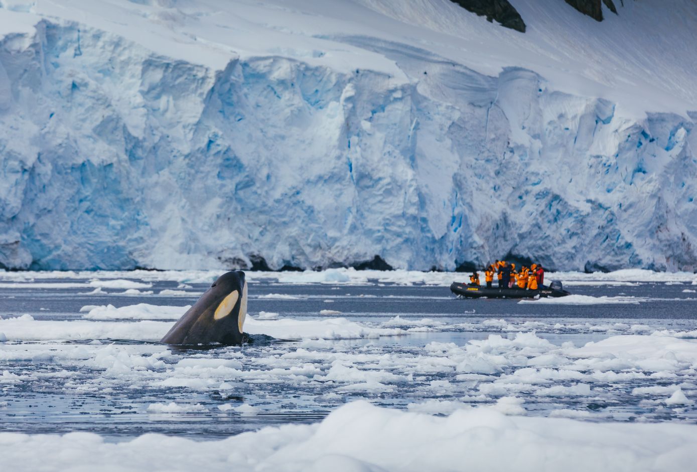 Groepsreis Antarctica