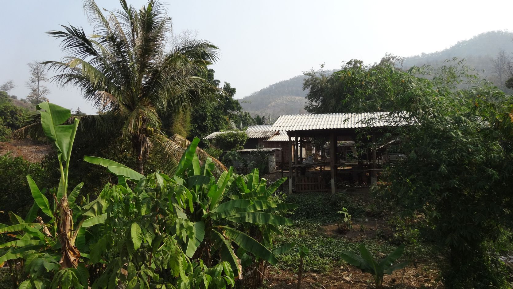 Jungle Trekking Noord-Thailand met Joker