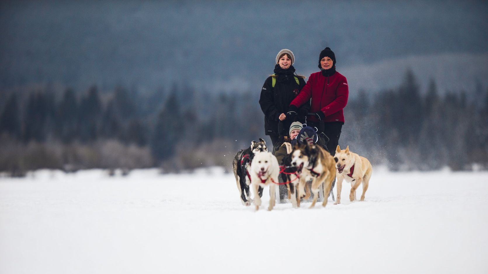 Hondensledetocht in de Rocky Mountains © Cory Johnn