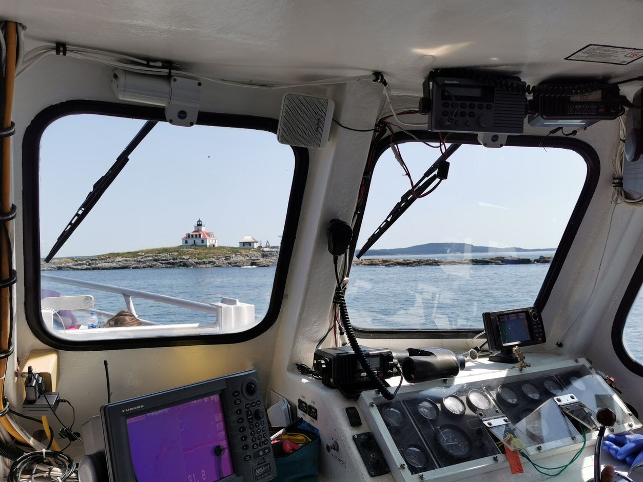 Lobster &amp; Seal boottocht in Bar Harbor