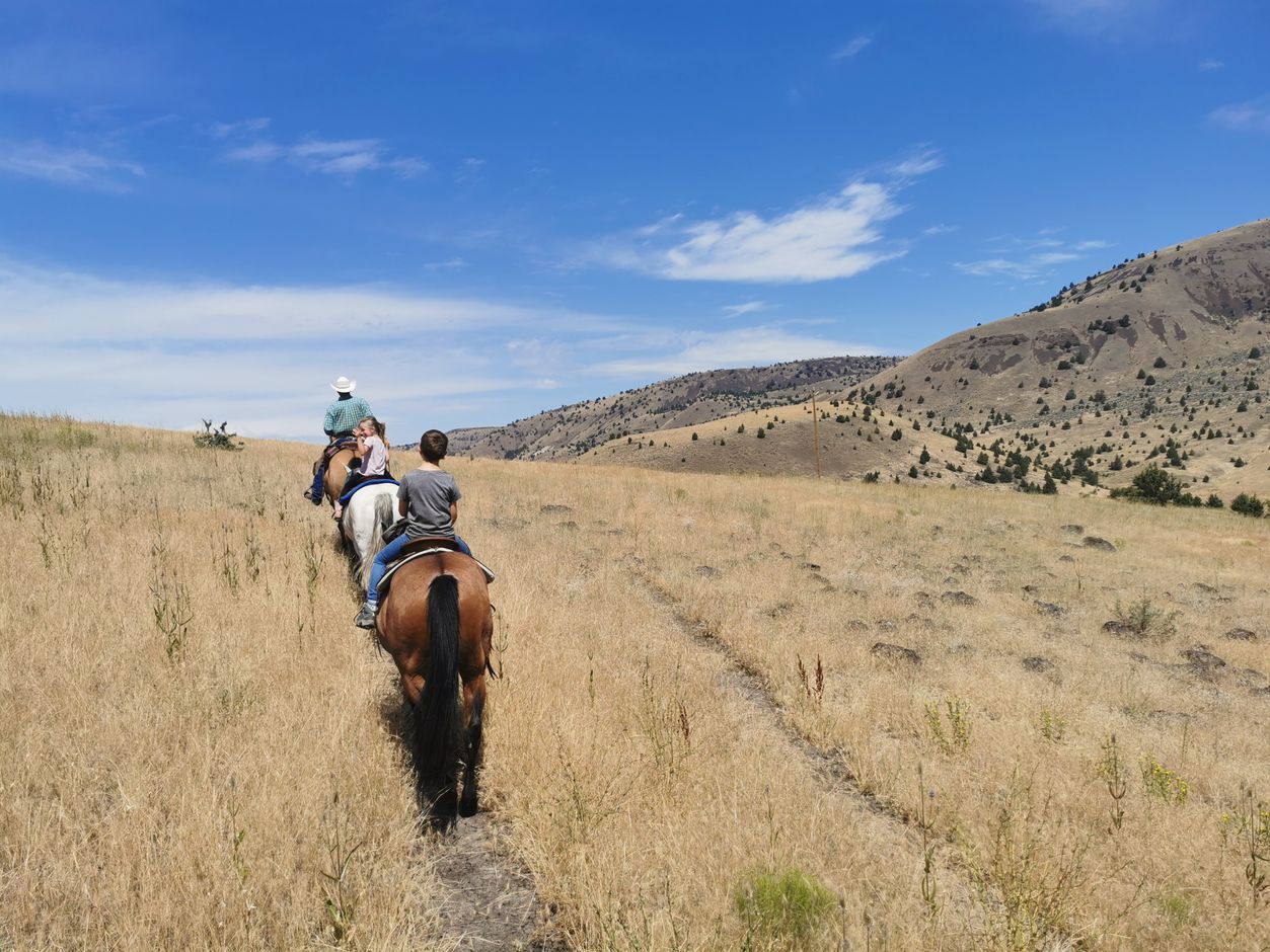 Paardrijden op de Wilson Ranch