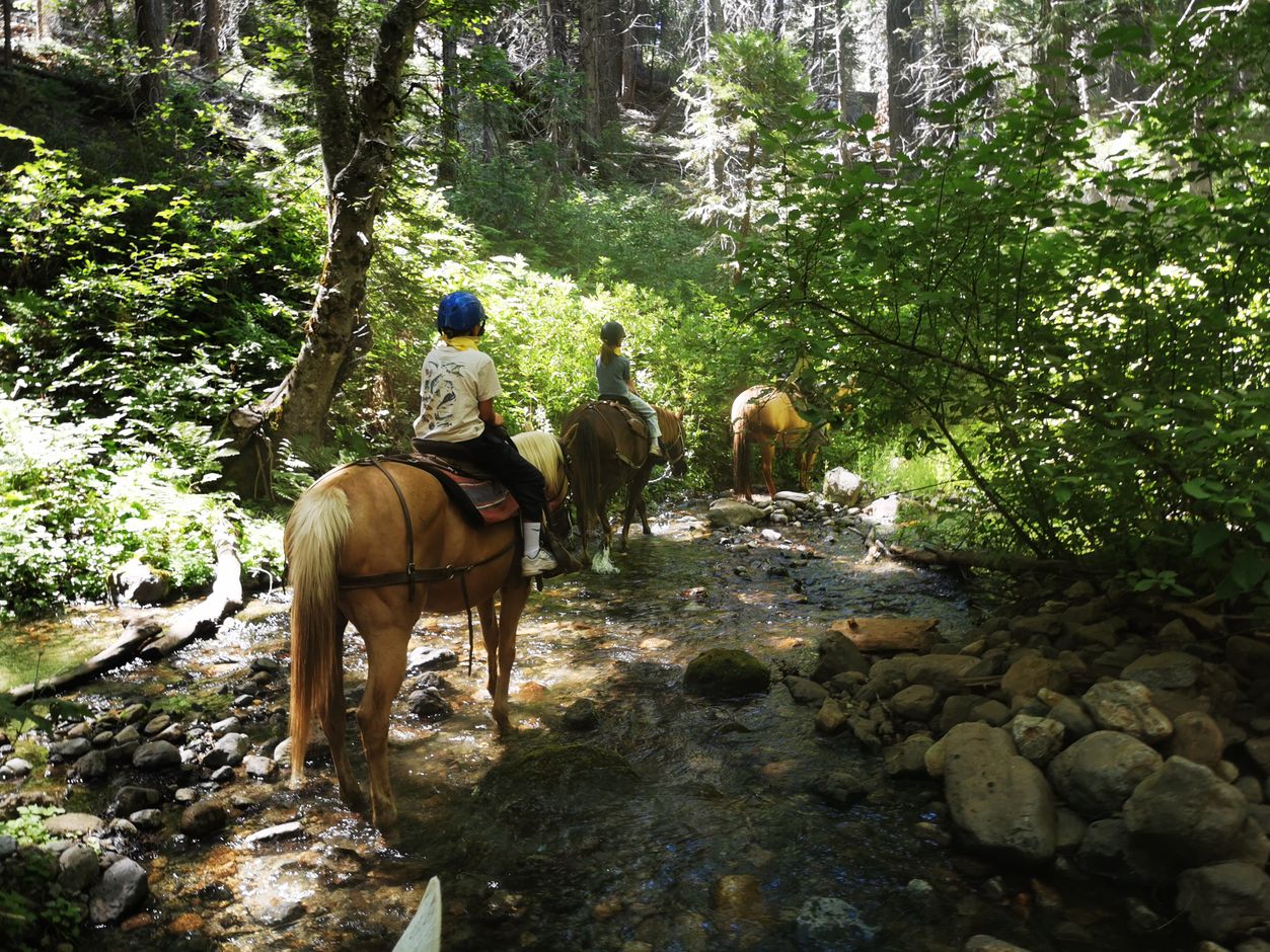 Paardrijden in Yosemite