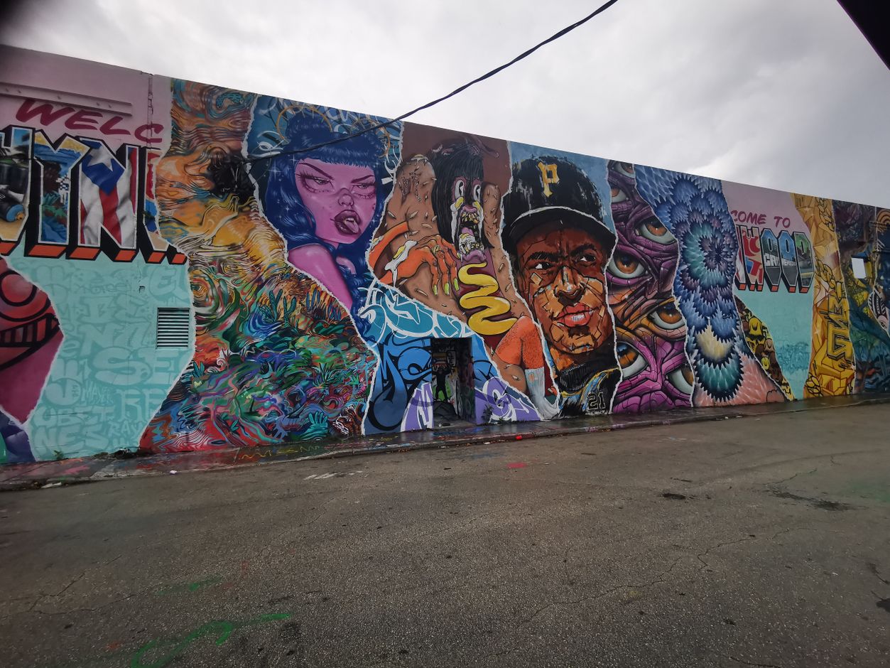 Street Art Tour in Wynwood