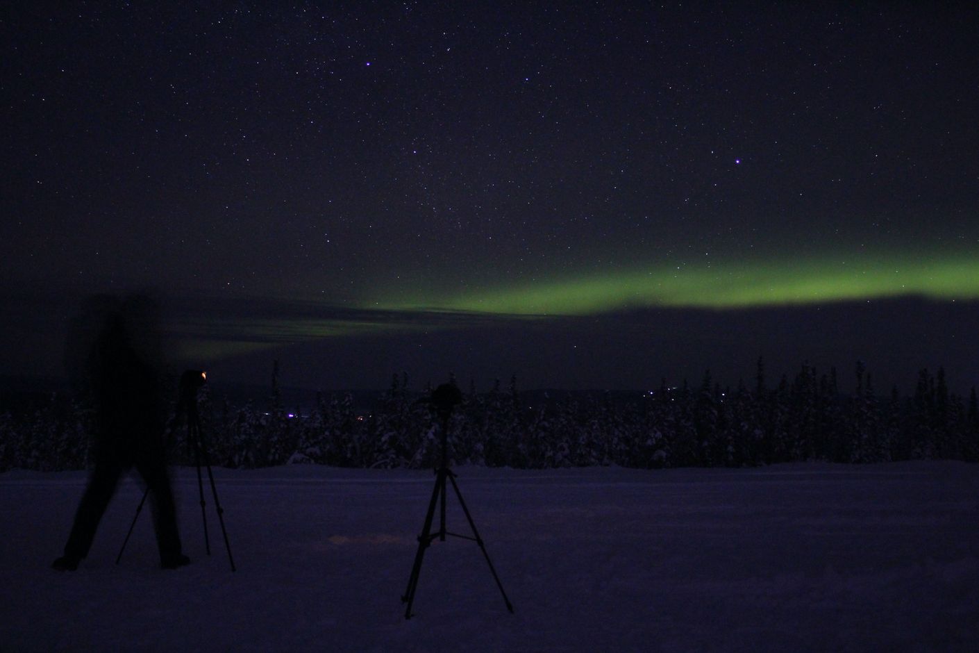 Hondensleetocht &amp; Noorderlicht