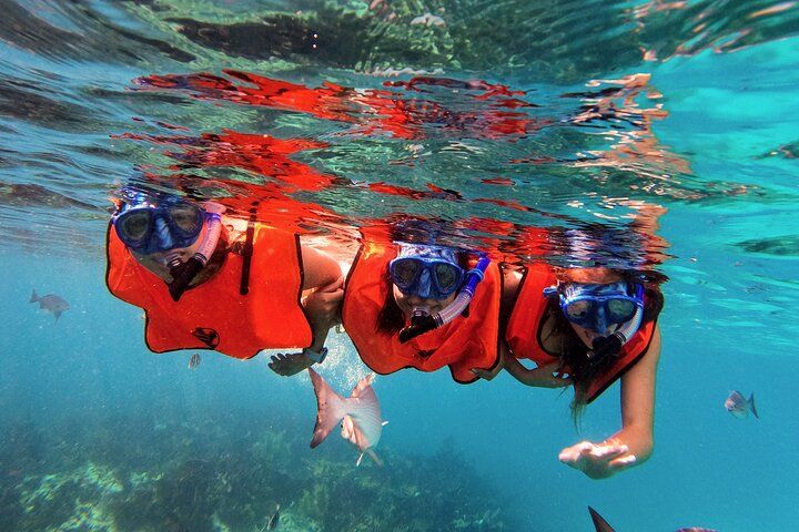 Snorkelen in Key Largo