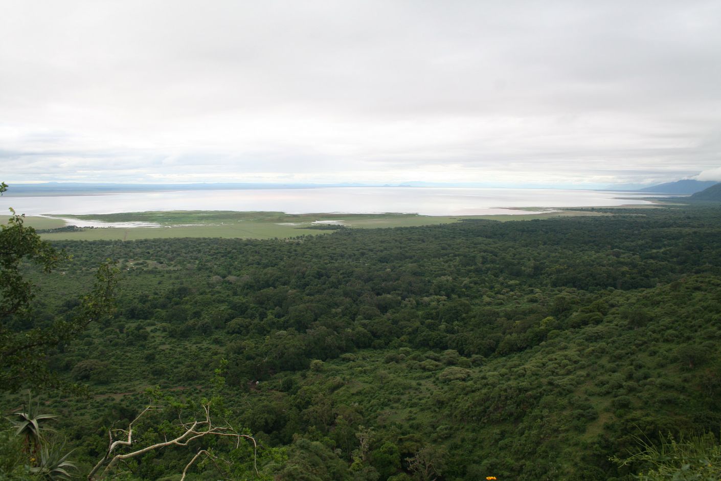 Panorama Lake Manyara