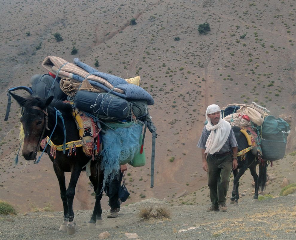 Wat meenemen op reis - bagagedragers in Marokko
