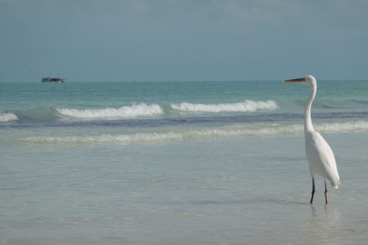 Kayak Tour in Holbox