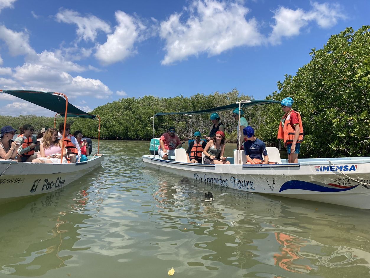 Ria Lagartos Mangrove Boottocht