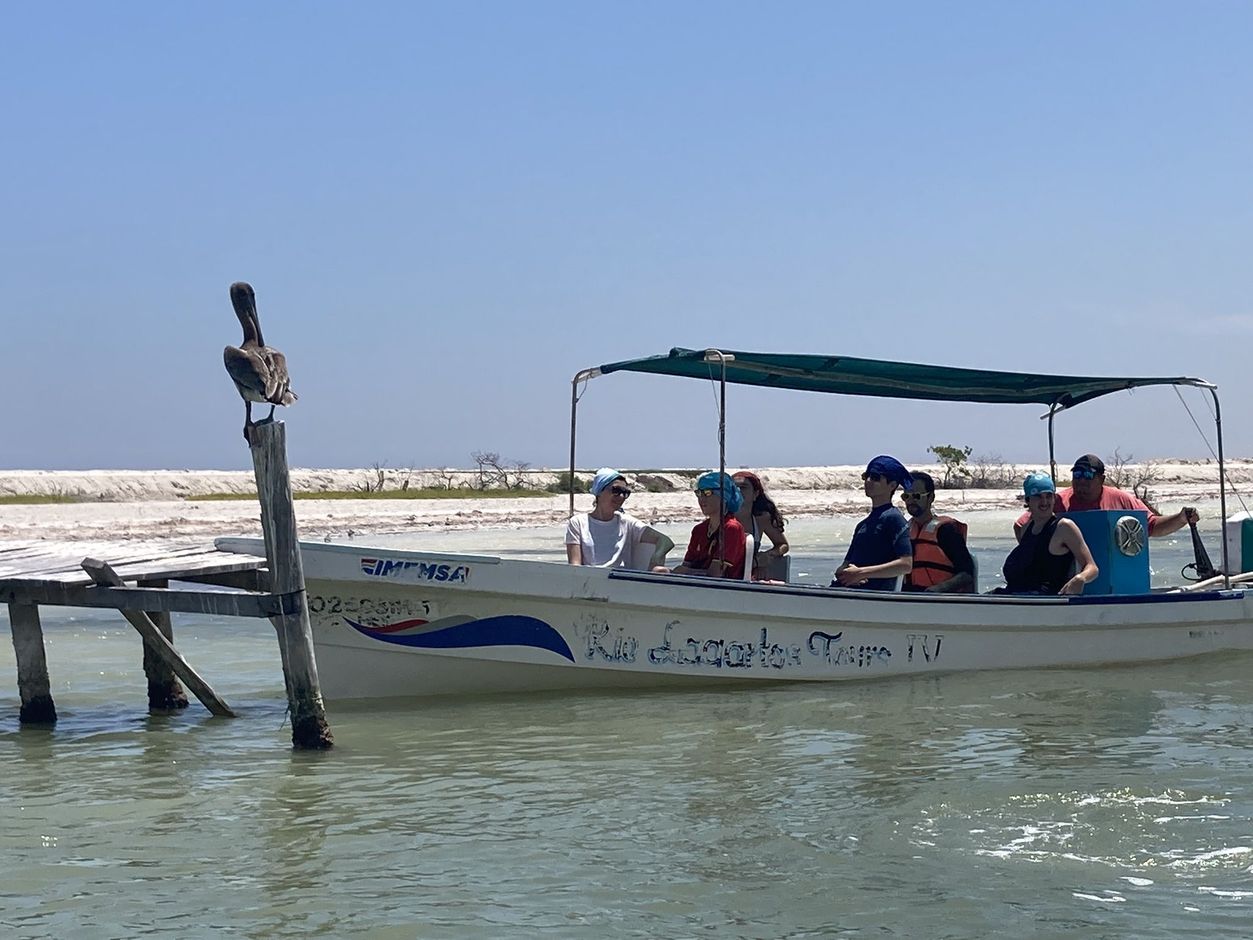 Activiteiten in Rio Lagartos