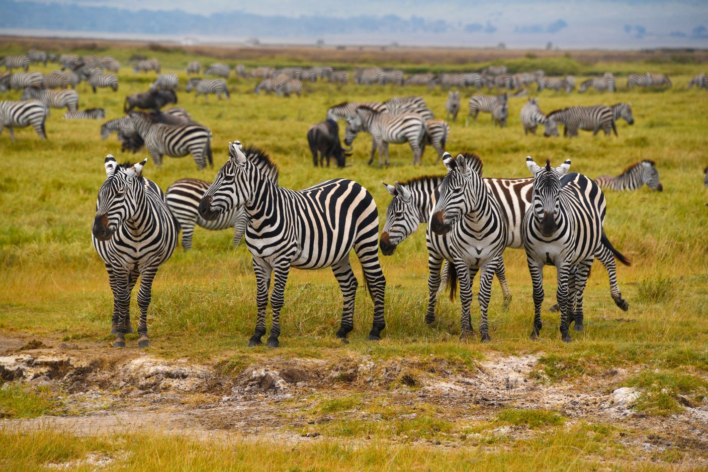 groepsreizen 50 plus