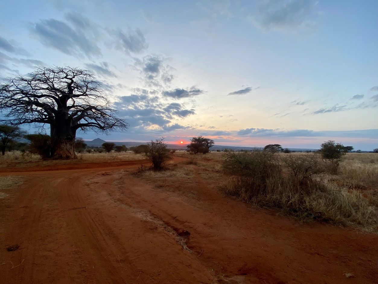 Tanzania zonsondergang