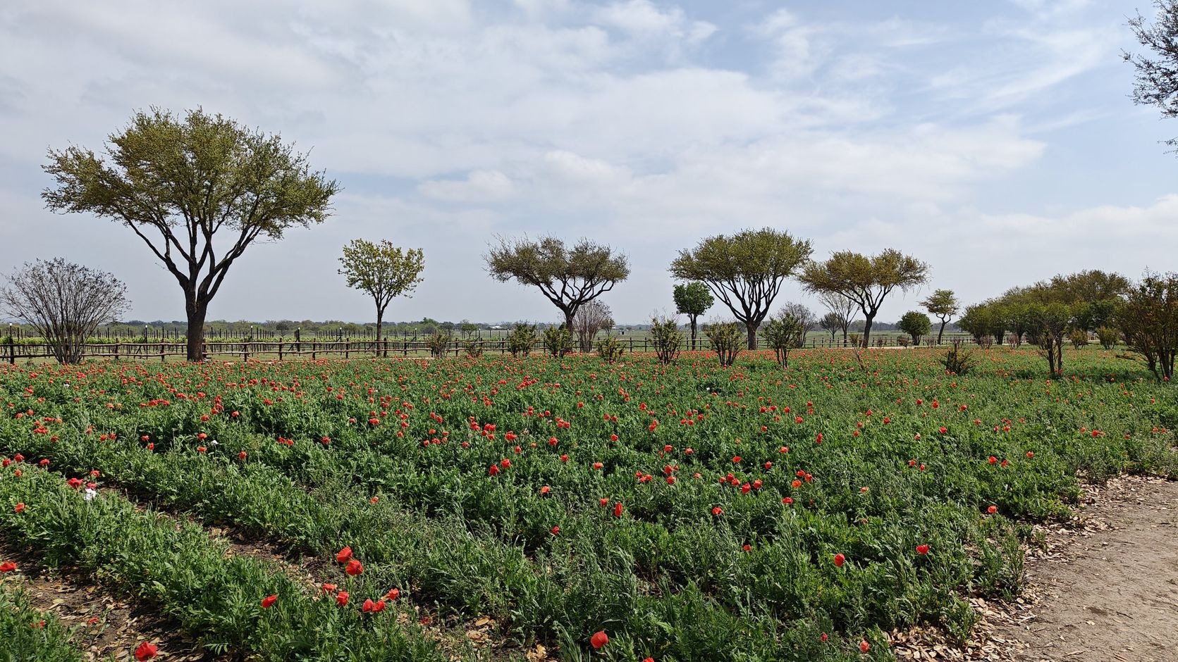 fredericksburg texas
