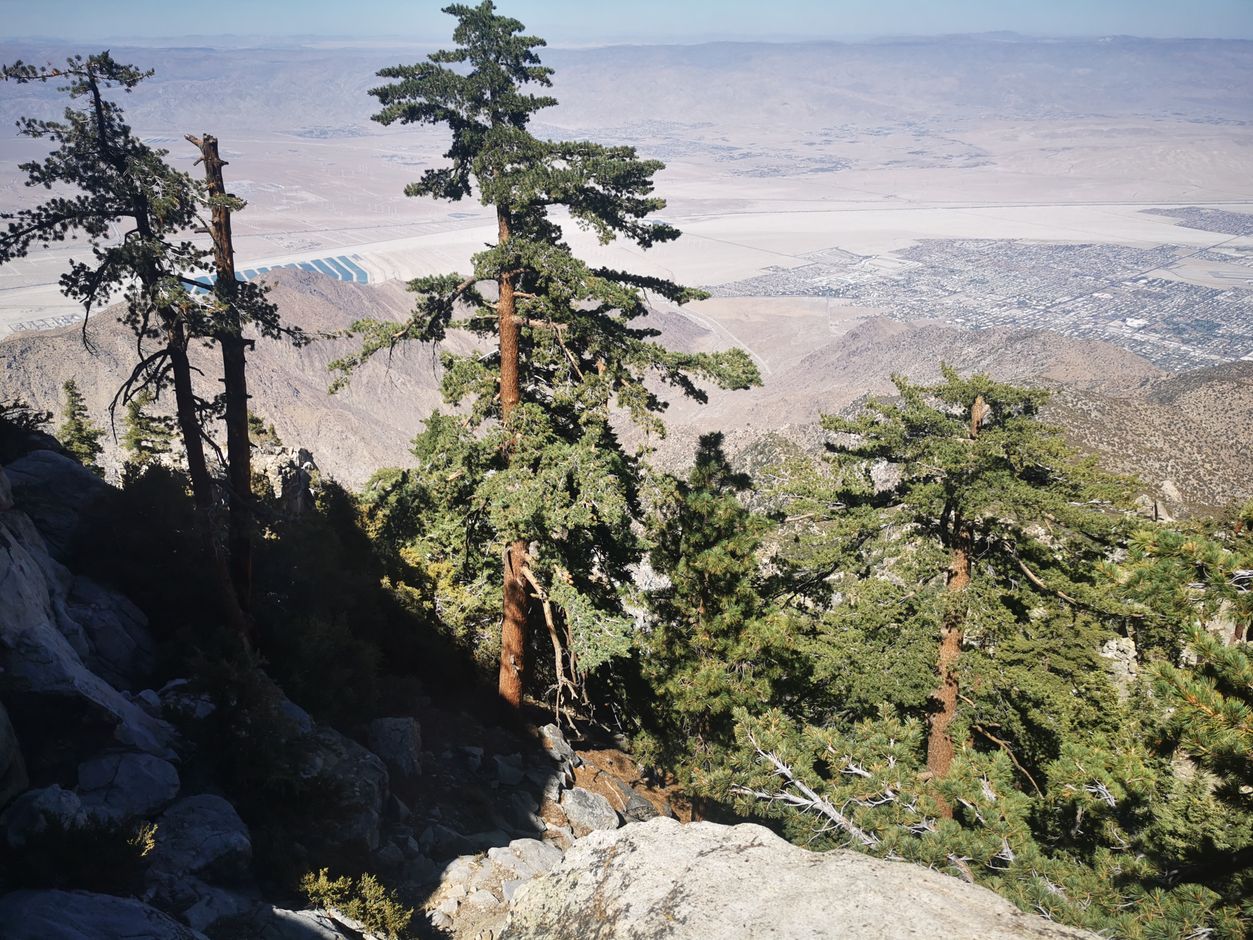 Palm Springs - Kabelbaan - Mount Jacinto