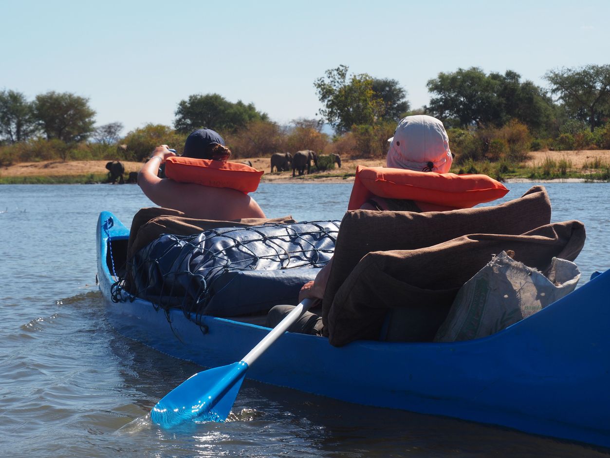 Kanosafari op de Zambezi in Zambia