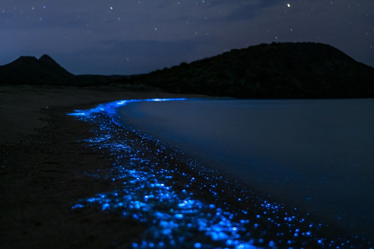 Bioluminescent Plankton Kayak Tour en sterrenkijken