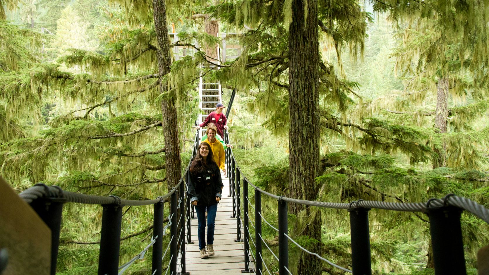 Hangbrug TreeTrek Canopy Walk Whistler