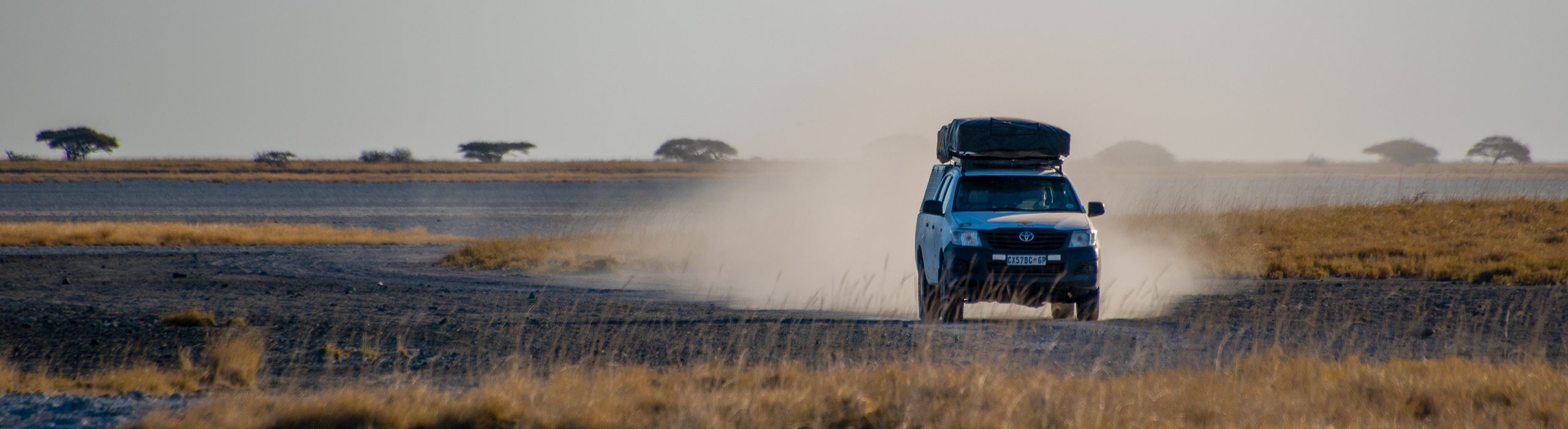 Safari off the beaten track