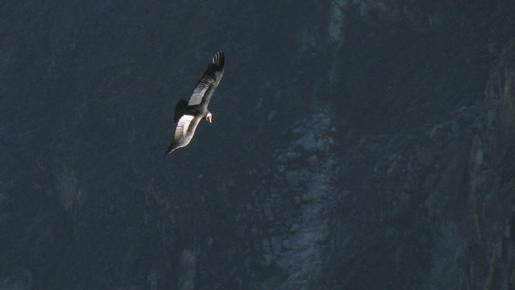 3 uitzonderlijk mooie trekkings in Peru
